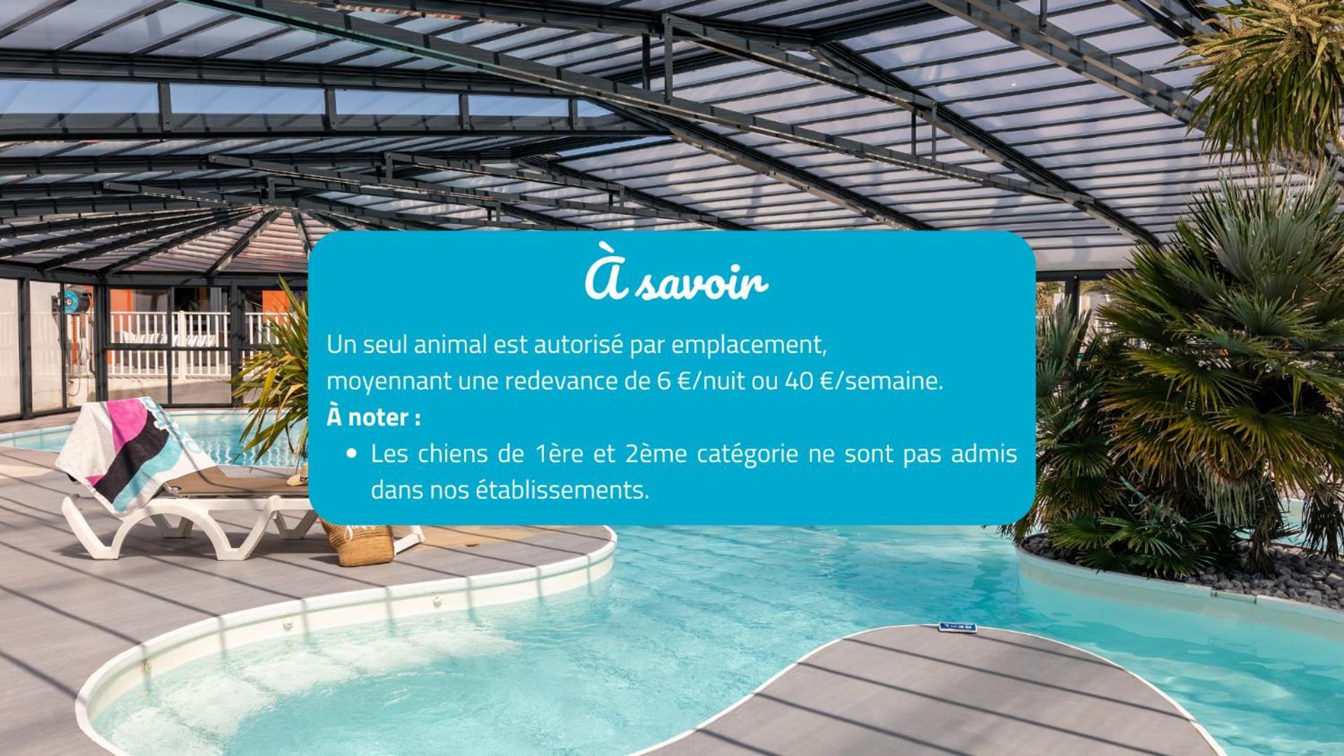 Camping Park Er Lann Saint-Pierre-Quiberon Kültér fotó